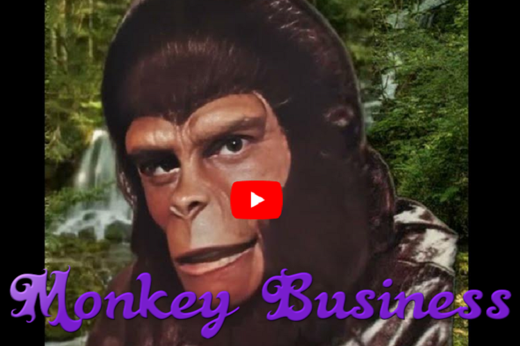 Monkey Business – The New World